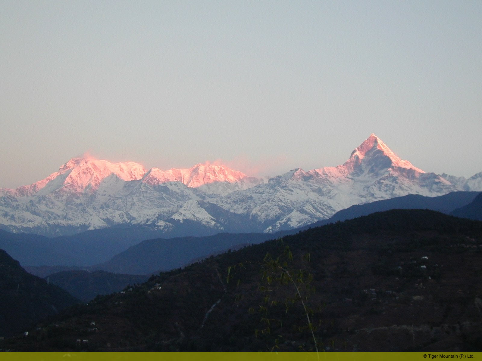 annapurnastofishtailpink.jpg