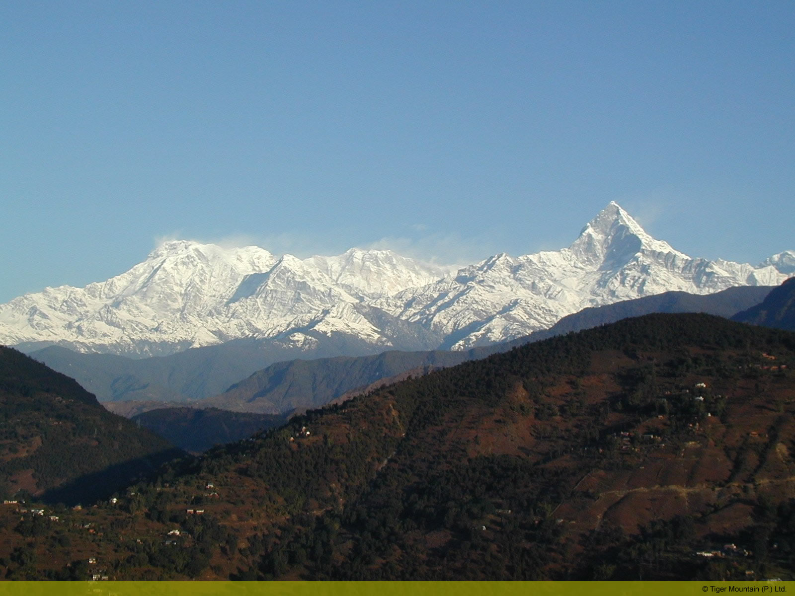 annapurnastofishtailwhite.jpg