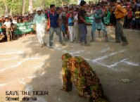 Save the tiger