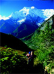 Mountain Travel Nepal