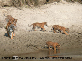 Sight Seeeing on Karnali Lodge